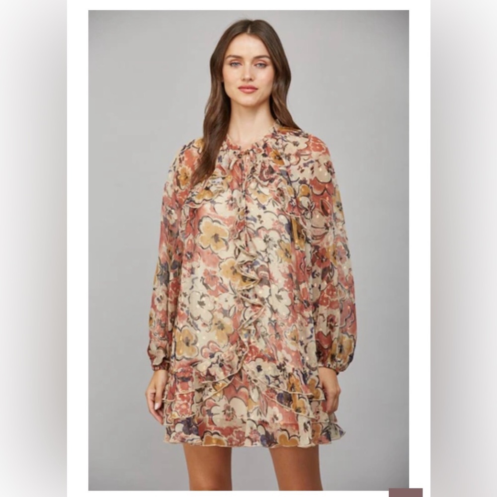 Fate boho Multicolor Floral Long Sleeve Mini Dress Oversized Small (see note